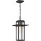 Quoizel Randall Outdoor Hanging Lantern RDL1909MB - alternate 1